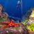 3D-Ocean-Fish-ScreenSaver