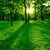Green-Nature-with-sunrise-wallpaper