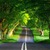 green-nature-road-background