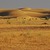 Jaisalmer-Desert-Landscape