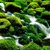 214505,xcitefun-lush-green-nature-wallpapers-01